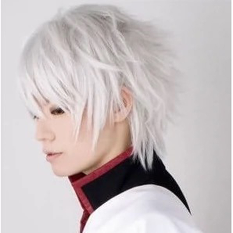 Anime Cosplay Wig White Simula - Cosplay Anime White Hair recension och pris
