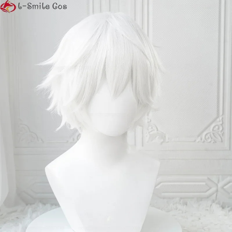 xiaoxiao Anime Killua Zoldyck  - Cosplay Anime White Hair recension och pris